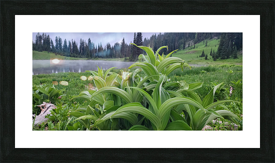 Mi04 Picture Frame print