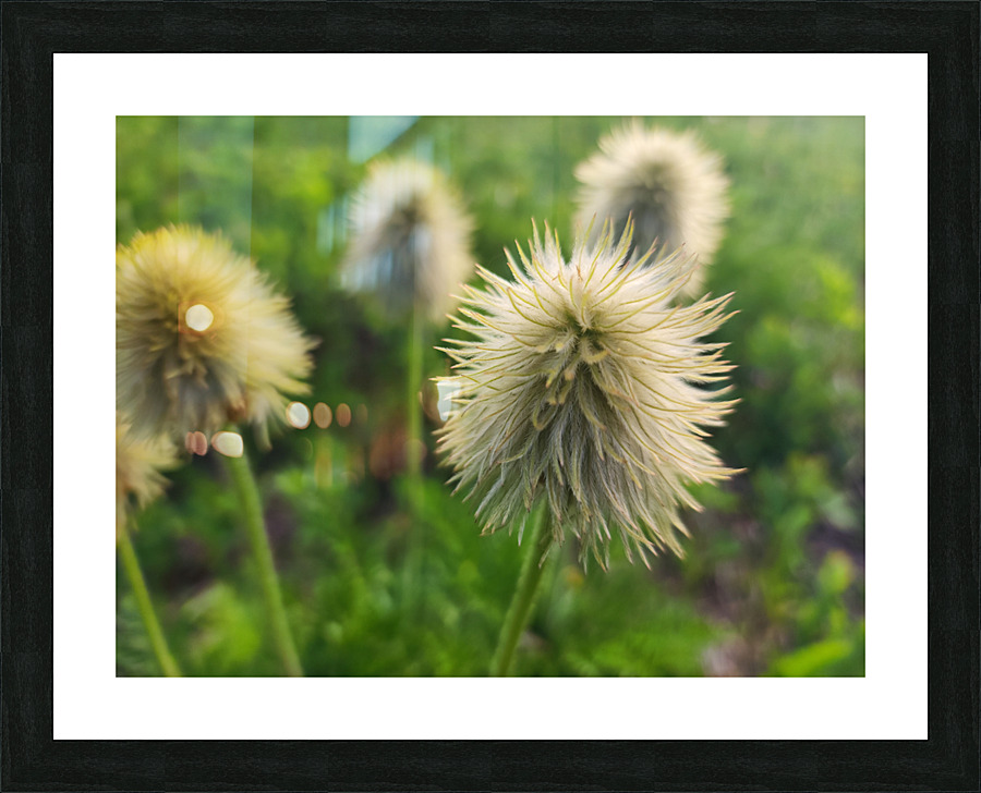 Mi01 Picture Frame print