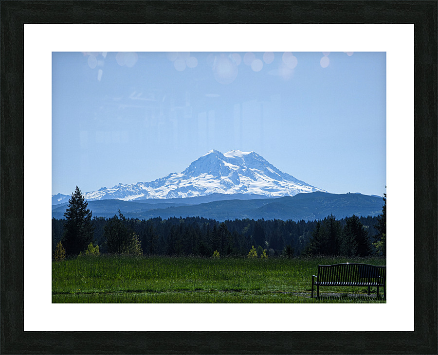M20 Picture Frame print