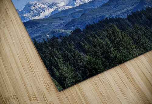 M19 The Timeless Designs puzzle