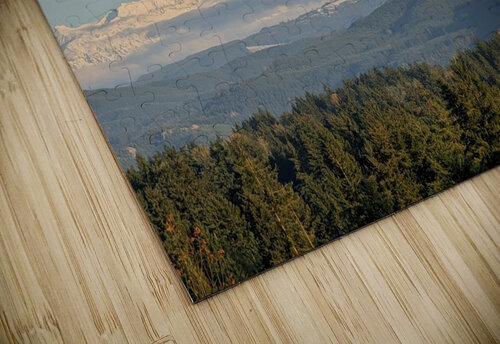 M13 The Timeless Designs puzzle