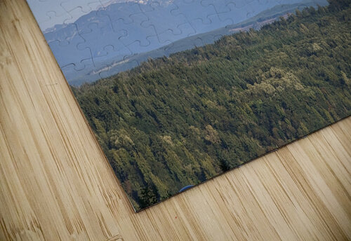 M08 The Timeless Designs puzzle