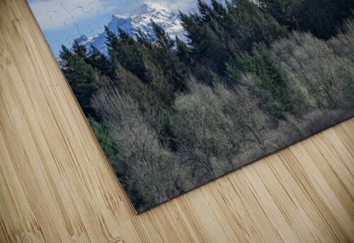 M24 The Timeless Designs puzzle