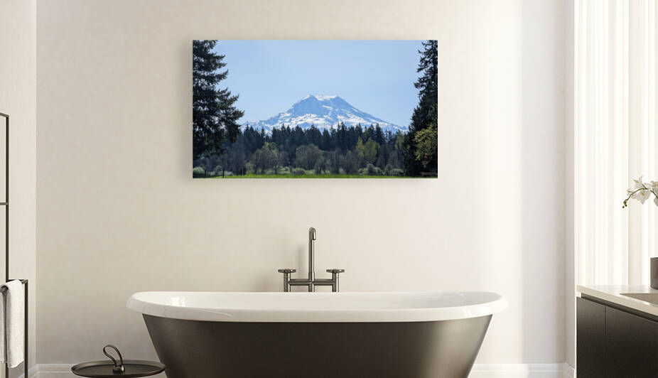 M22 by The Timeless Designs