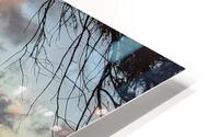 HK38 HD Metal print