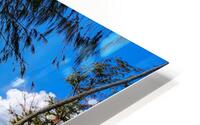 HK27 HD Metal print