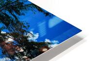 HK31 HD Metal print