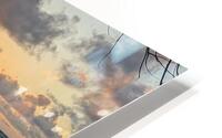 HK39 HD Metal print