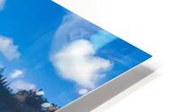 HK12 HD Metal print