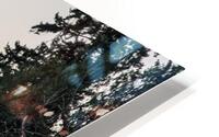 M11 HD Metal print