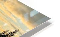 M01 HD Metal print