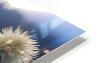 Mi15 HD Metal print