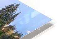 Mi03 HD Metal print