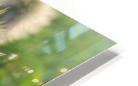 Mi01 HD Metal print