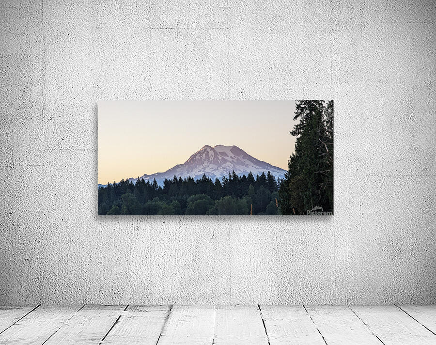M11 Wall Preview