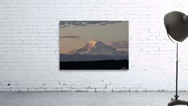 M14 Wall Preview