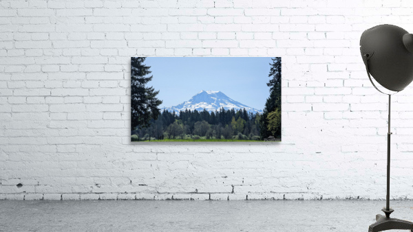 M22 Wall Preview