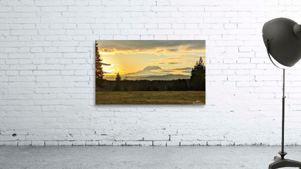 M01 Wall Preview
