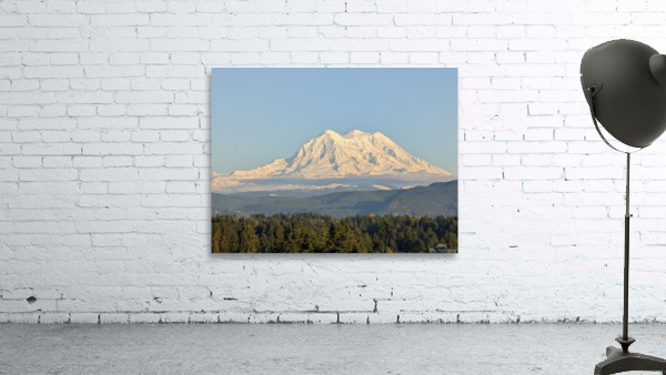 M13 Wall Preview