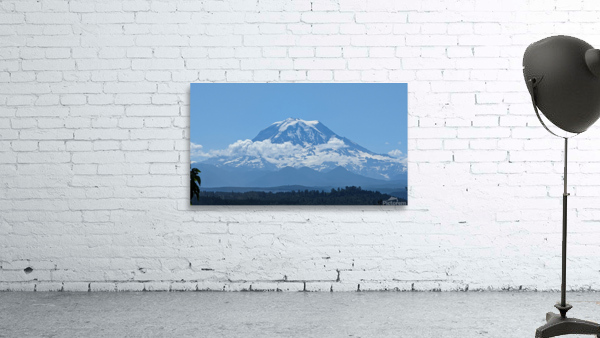 M21 Wall Preview