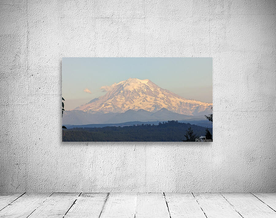 M15 Wall Preview