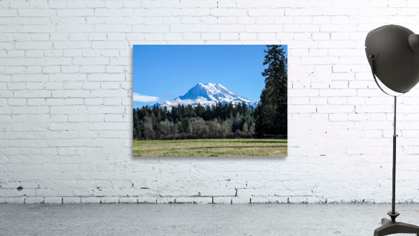 M23 Wall Preview