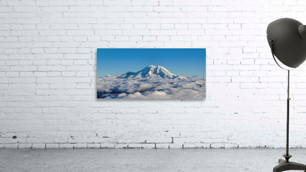 M06 Wall Preview