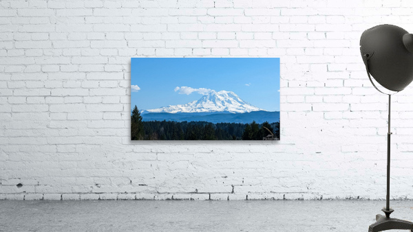 M18 Wall Preview