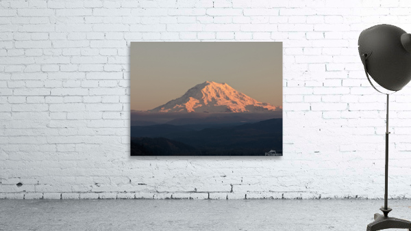 M12 Wall Preview