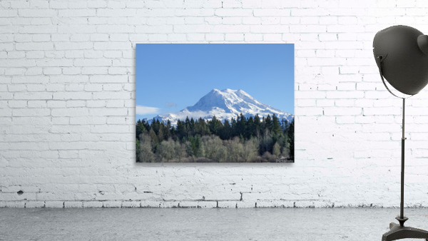 M24 Wall Preview