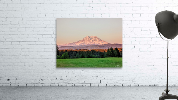 M02 Wall Preview