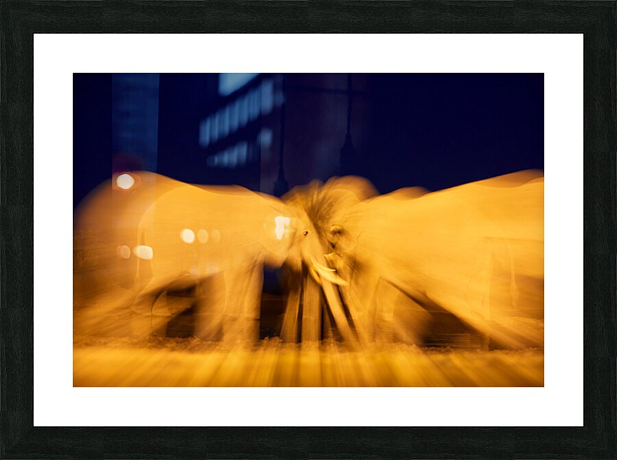 The Gathering Picture Frame print
