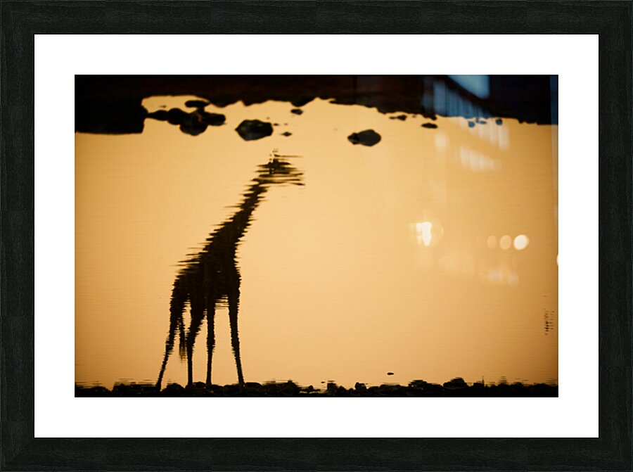 Reflection Picture Frame print