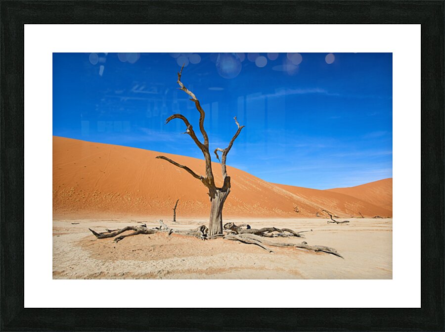 Deadvlei Impression et Cadre photo