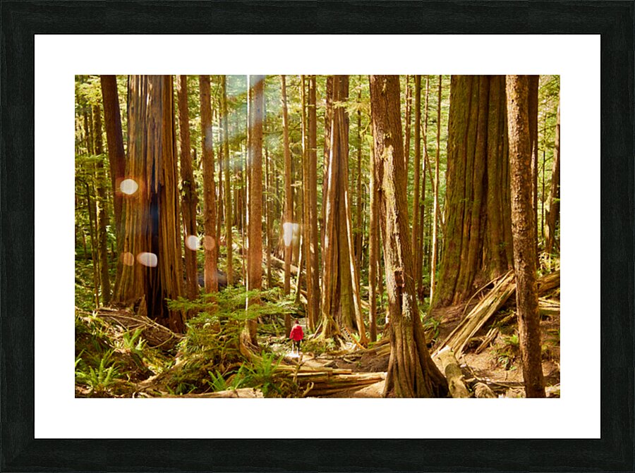 Avatar Grove Picture Frame print