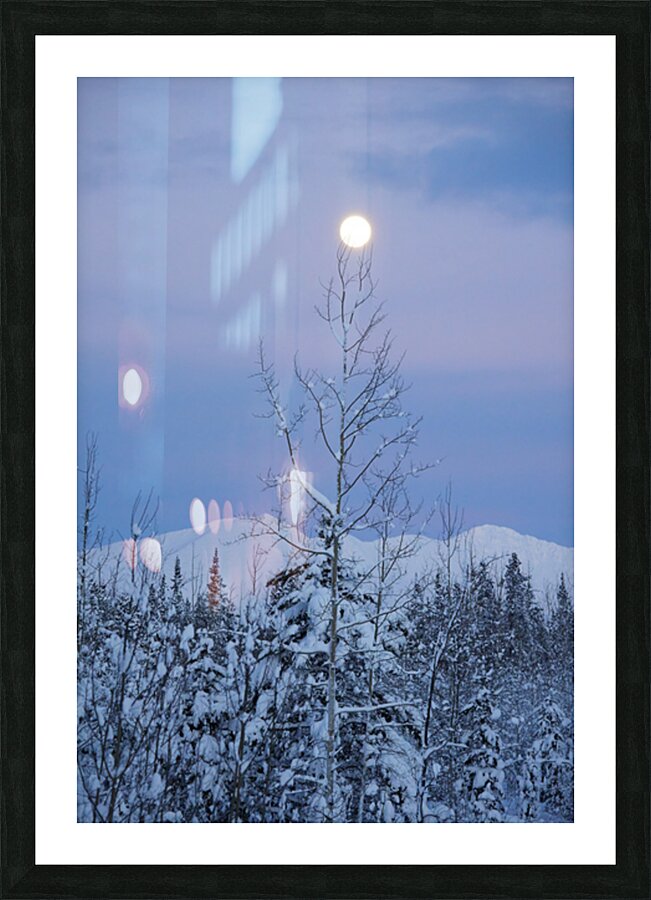 Winter Moon Picture Frame print