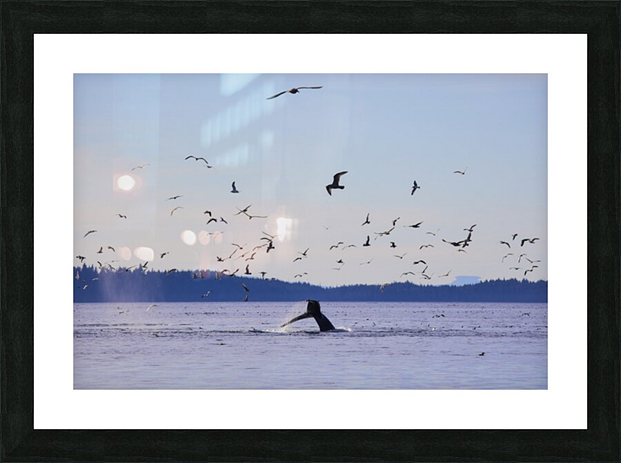 The Dive Picture Frame print