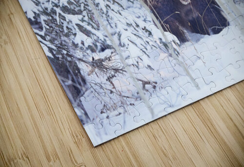Winter Grizzly Johann Wild Photography puzzle