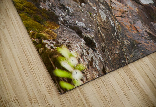 Down by the River Johann Wild Photography puzzle