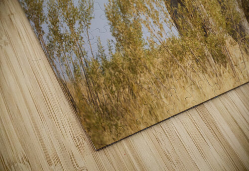Savanna Johann Wild Photography puzzle