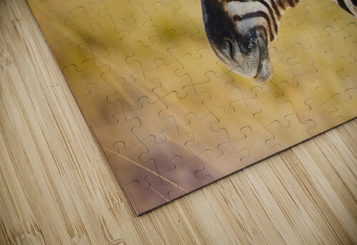 Portrait in Two Colors Johann Wild Photography puzzle