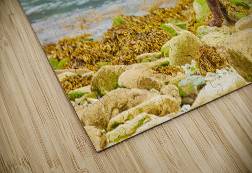 Alaskan Shore Johann Wild Photography puzzle