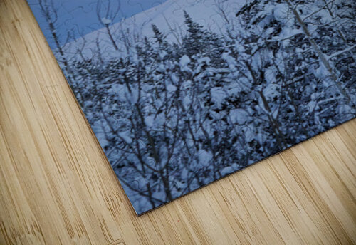 Winter Moon Johann Wild Photography puzzle