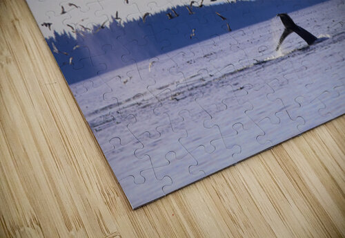 The Dive Johann Wild Photography puzzle