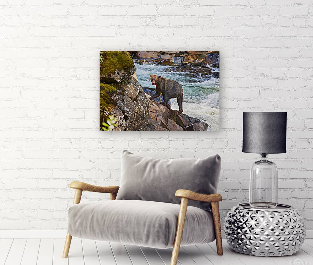 Down by the River Reproduction