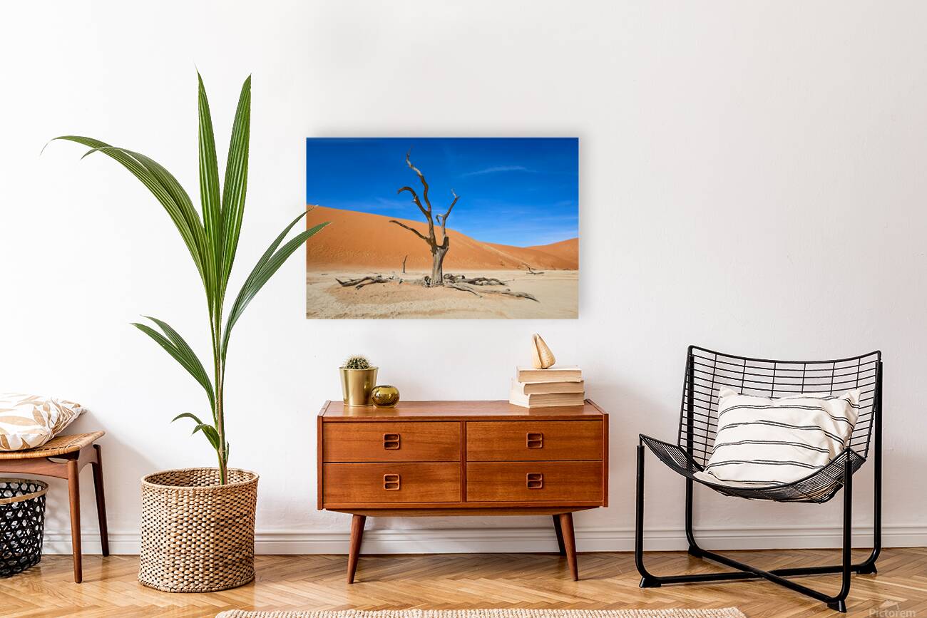 Deadvlei Reproduction