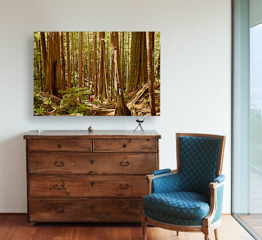 Avatar Grove Reproduction