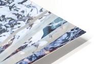 Winter Grizzly HD Metal print