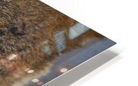 Killer Look HD Metal print