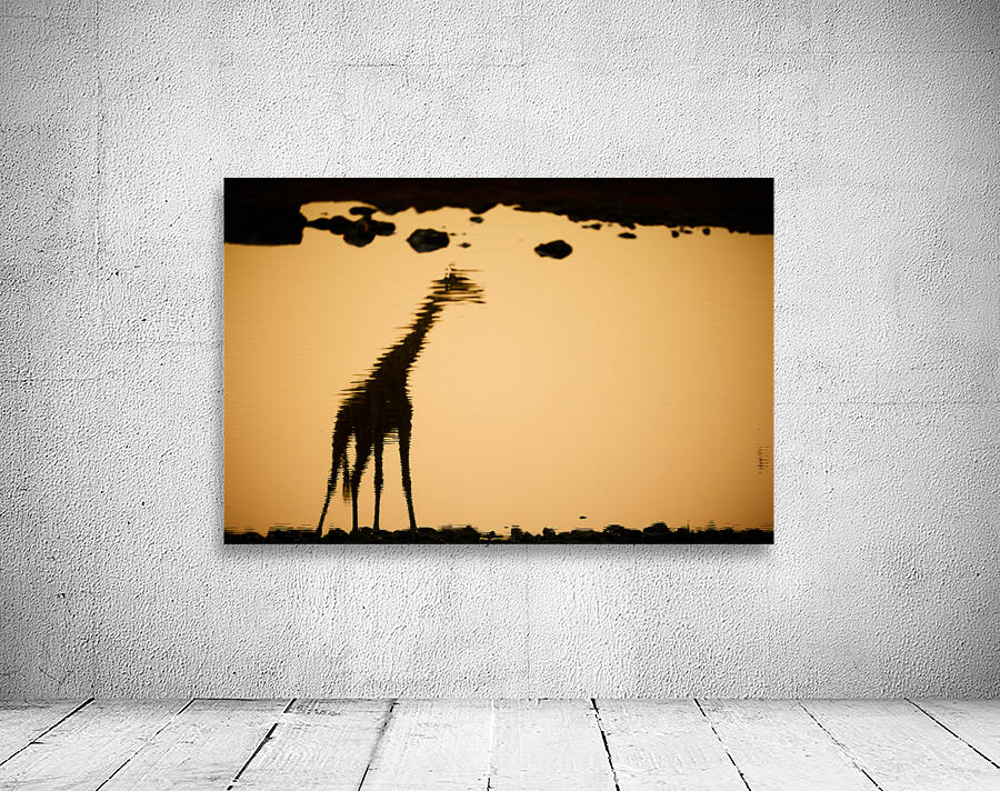 Reflection Wall Preview